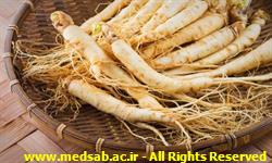 جینسینگ چیست و چه خواص و عوارضی دارد جینسینگ چیست و چه خواص و عوارضی دارد